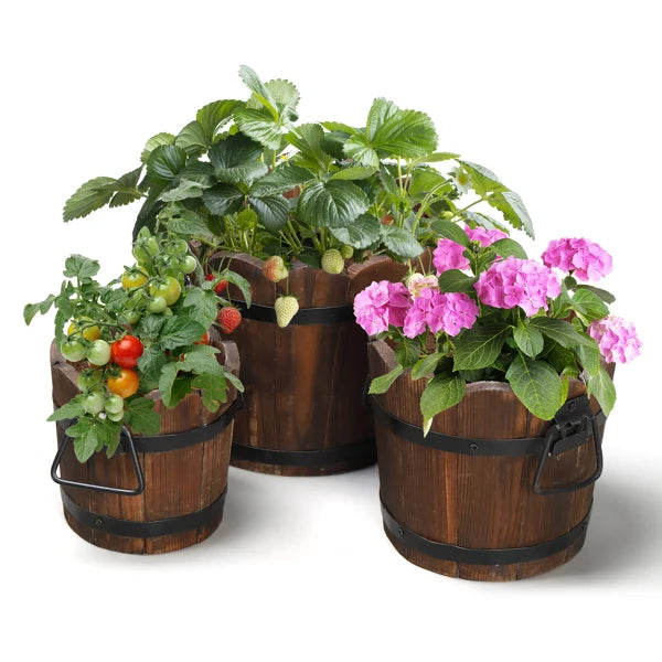 Outdoor Planting Pot – Flower-Shaped Barrel in Carbonized Finish , indoor and outdoor planters