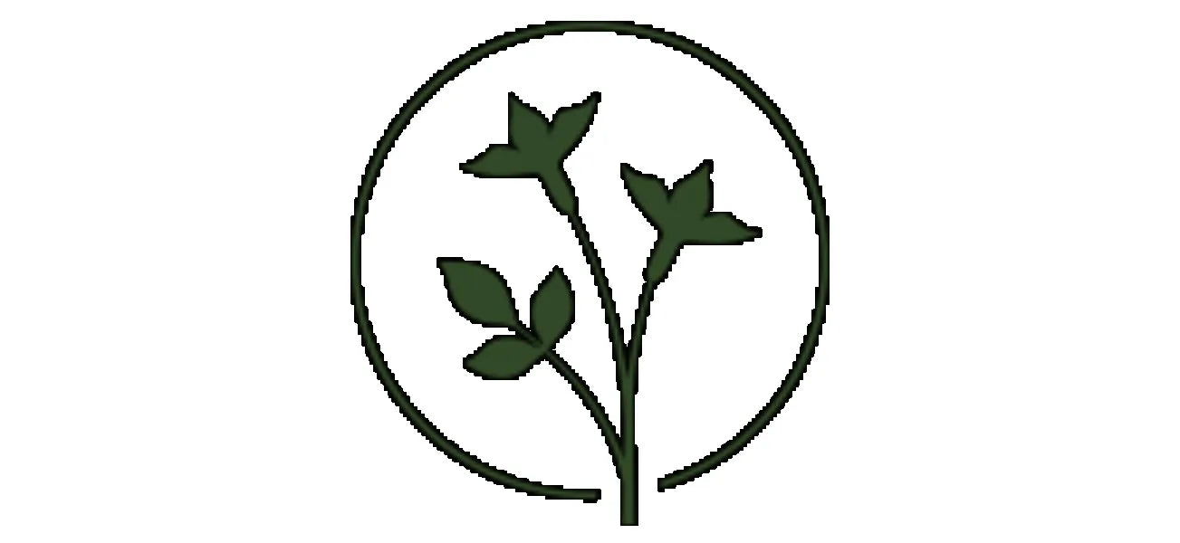 hanging plant holders – Set of 2-hanging planters for Outdoor Plants.